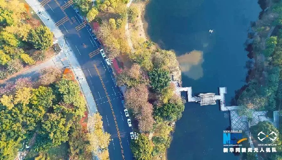 風光 | 海島濕地玻璃橋 無人機帶你俯瞰繽紛廣東 旅行 第5張