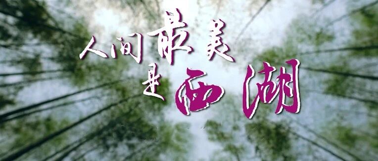 跟随良义 云游中国丨人间最美是西湖