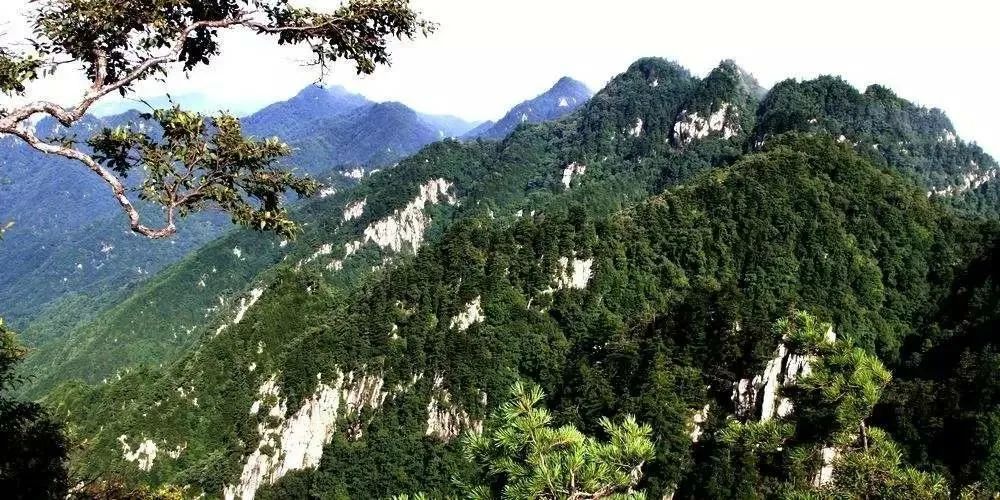 新闻 | 三门峡仰韶仙门山景区获评中国国家4A级景区，一起来看！插图32