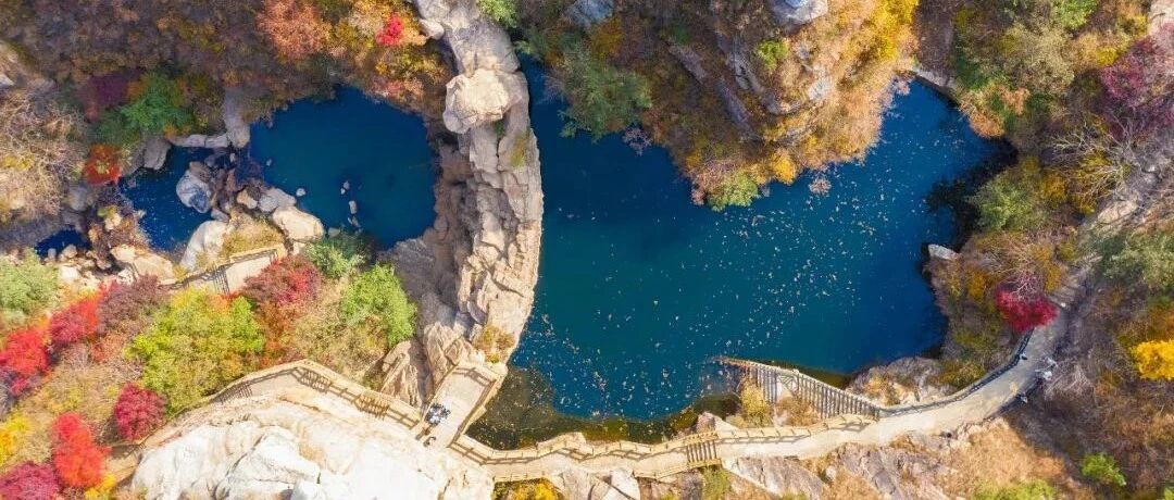 新闻 | “秋意浓 崂山红”第四届崂山红叶节摄影大赛启动，你还等什么？