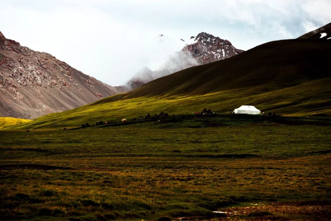 錦繡中華 | 從七彩雲南到天上西藏，這些路線風景美如畫 旅遊 第3張