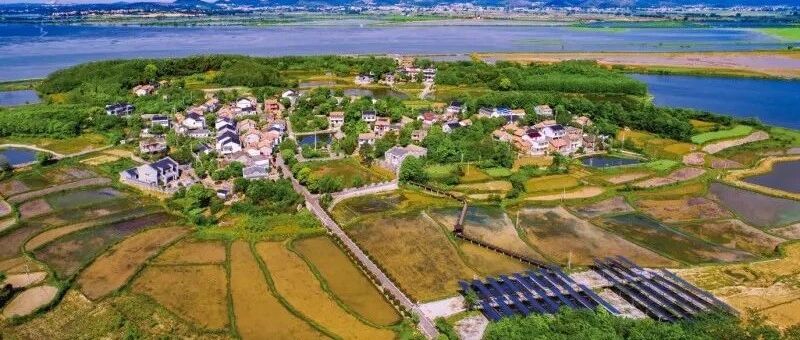 中国乡村游 | 体验湖北险山乐水，坐享茶园清新茶韵