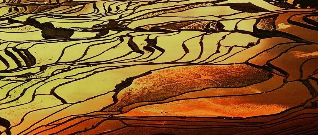 世界遗产在中国 | “最美的山岭雕刻”红河哈尼梯田文化景观