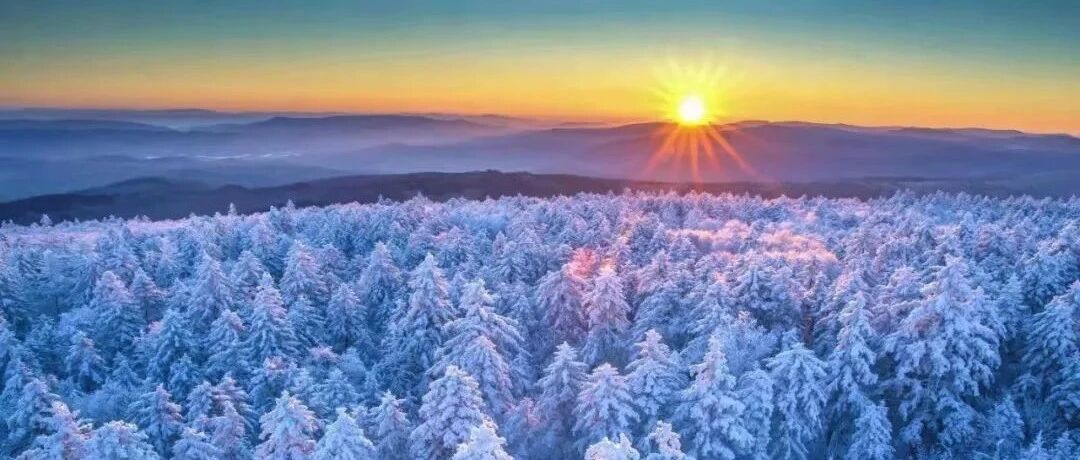 中国北方冰雪旅游季 | 冬游黑龙江，如梦如幻
