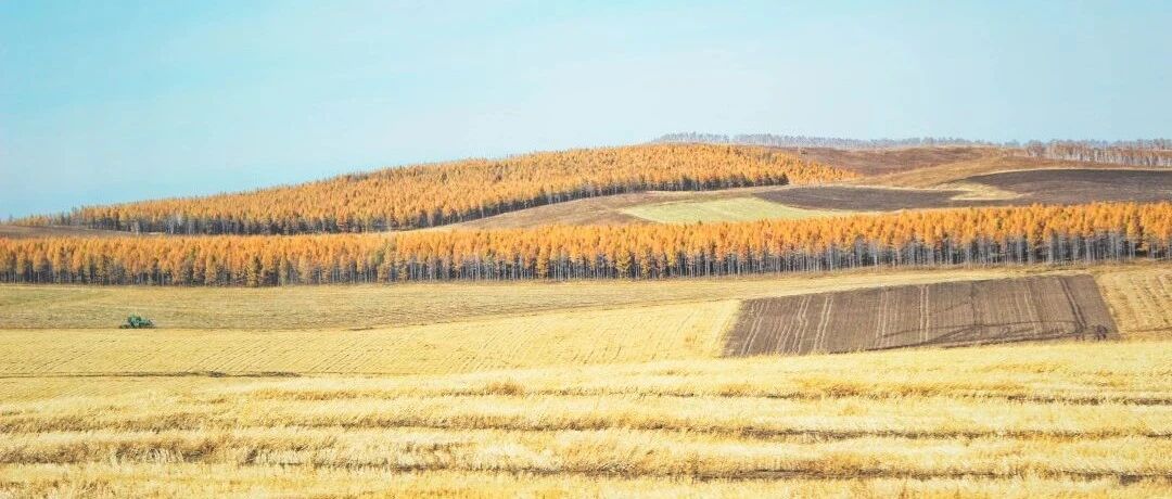 新闻 | 黑龙江省推出秋季旅游产品，这些美景一定不能错过！