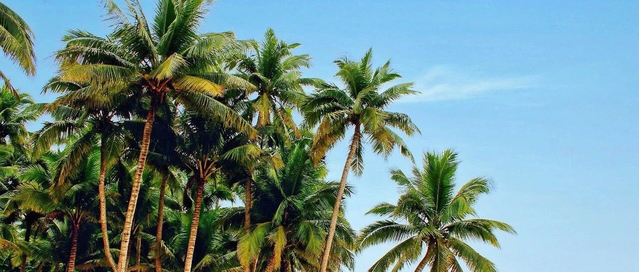 新闻 | 海南环岛旅游公路开建啦，面朝大海，春暖花开！