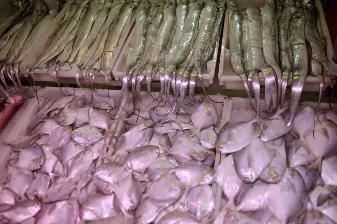 美食 | 中國海岸線有多少美味？ 旅遊 第22張