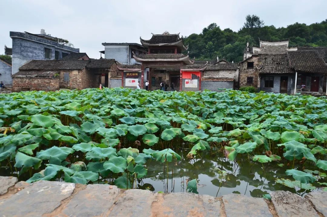 錦繡中華 | 這座中國風的湖南小城，不僅風景如詩如畫，還是一座美食之都 旅遊 第29張