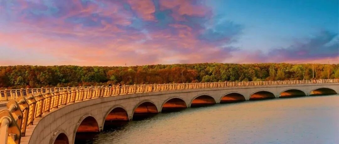 中国乡村游 | 上海近郊自驾游好去处，个个都美到炸裂！