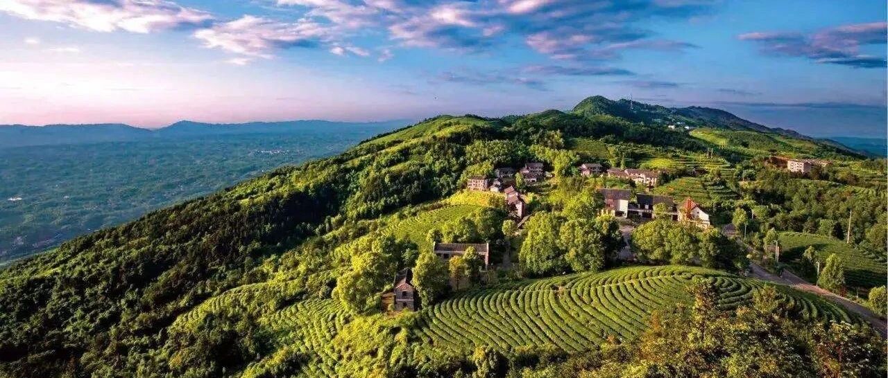 重庆“双晒” | 心灵之旅，欢乐永川