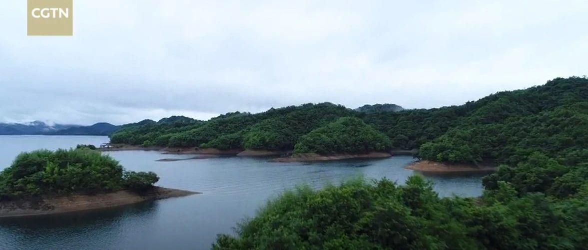 旅游让世界和生活更美好|微纪录片《皖美乡村》回归自然，体验农耕文化