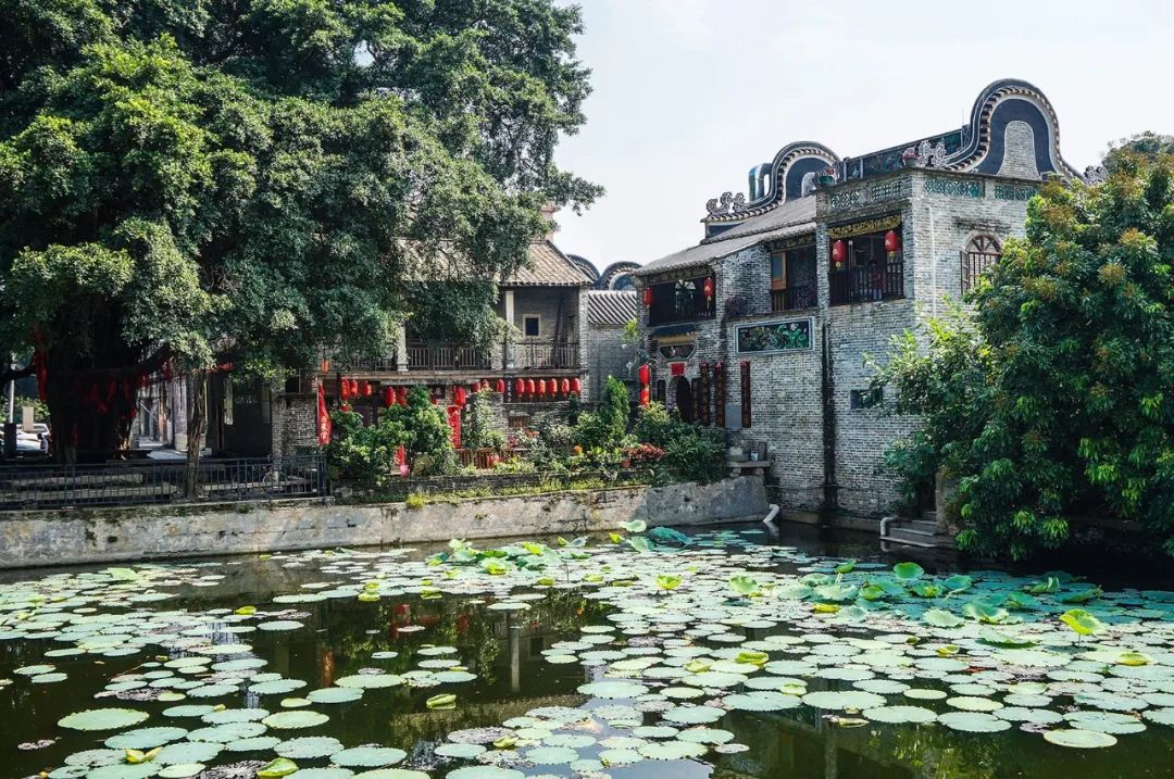 中国乡村游 | 慢享休闲滨海，体验特色广东
