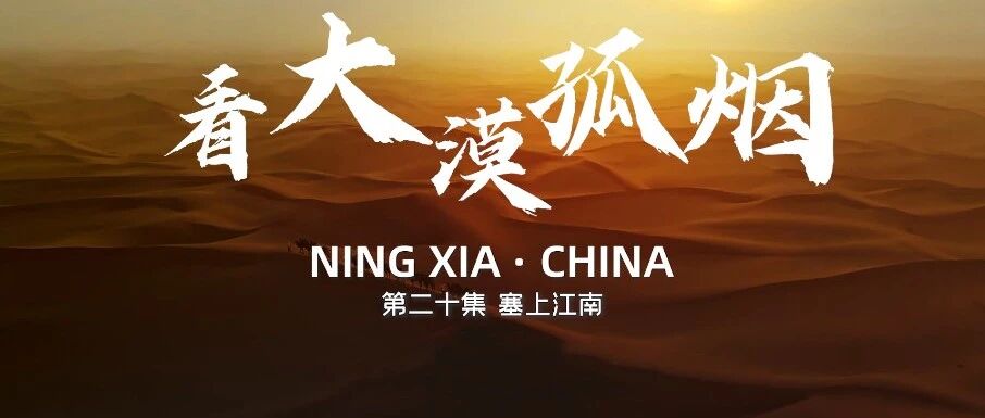 跟随良义 云游中国丨塞上江南，看大漠孤烟