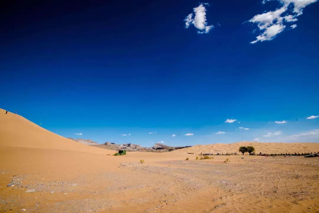 蘭新高鐵西寧站 | 中國夏都，遺落在青藏高原上的一顆璀璨明珠 旅遊 第7張