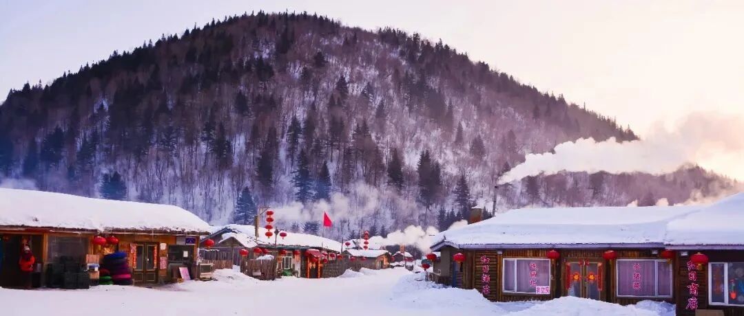 新闻 | 青岛崂山迎来降雪，一夜之间进入童话世界！