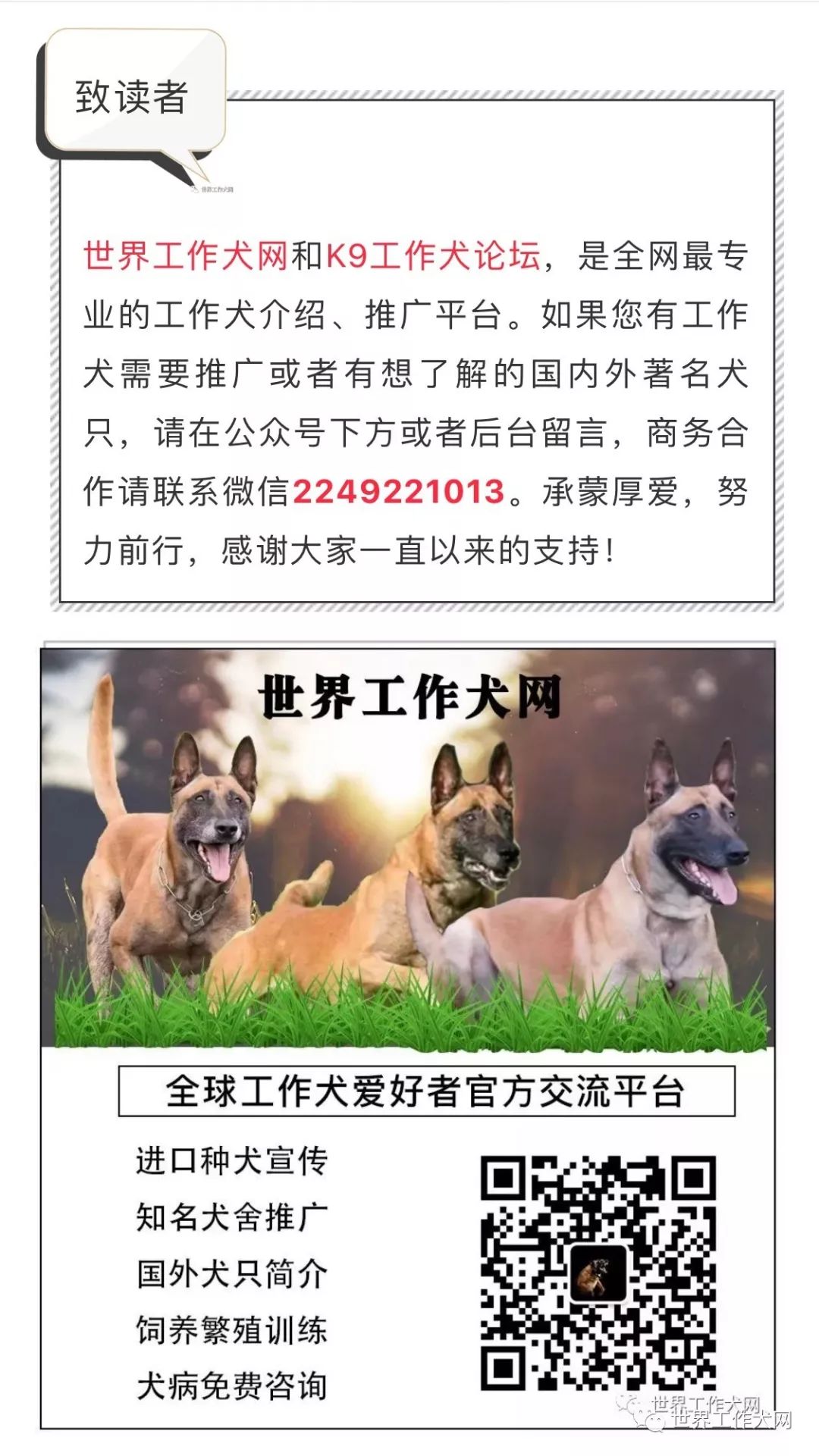 驱虫比打疫苗更重要 最全面的犬猫寄生虫知识汇总 世界工作犬网 微信公众号文章阅读 Wemp