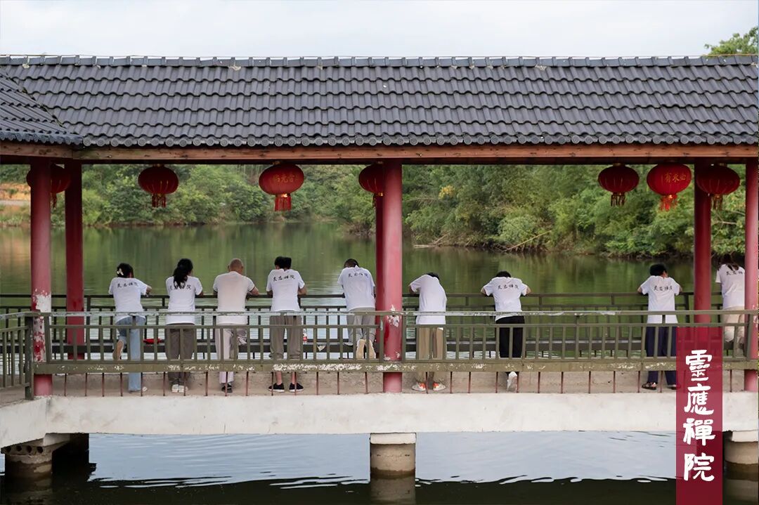 禅修丨安徽灵应禅院2021年周末禅报名