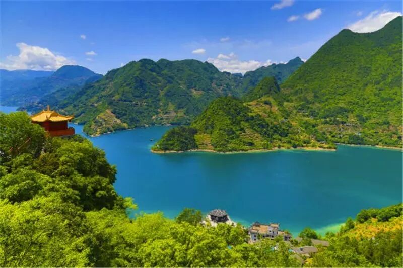 长阳都镇湾镇高桥村:茶叶拓宽致富路