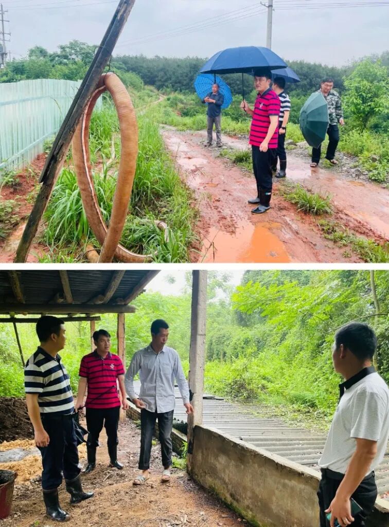 【生态环保】丨古陂镇:扭住关键精准发力,聚焦问题狠抓整改 | 信丰县