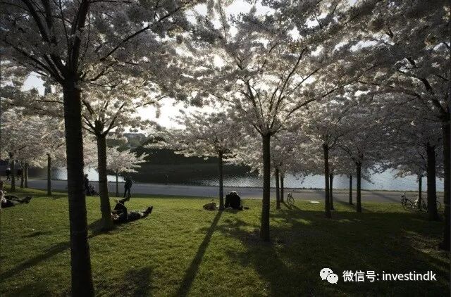 йӶƴʱ򣬵ĺȴȥɭ׶԰