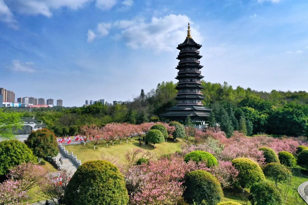 赏花踏青登高渝北春游攻略来啦