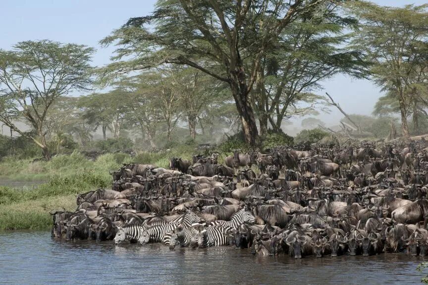 东非坦桑尼亚两年投资增长173为何值得关注