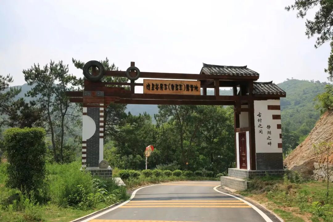 观星谷露营地.jpg