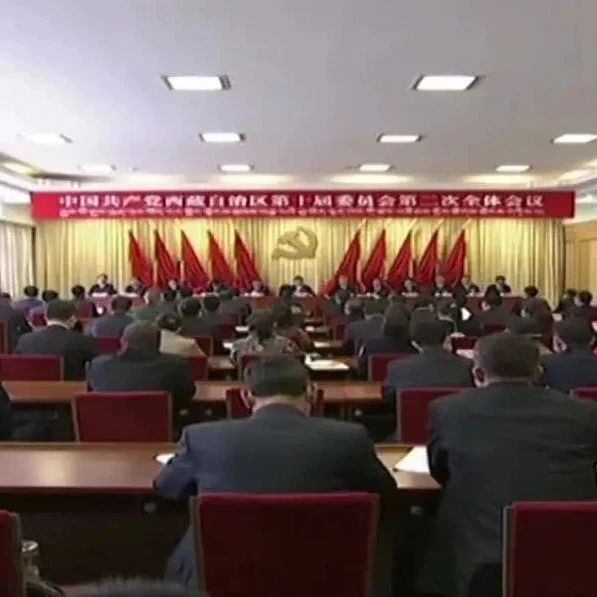 中国共产党西藏自治区第十届委员会第二次全体会议在拉萨召开