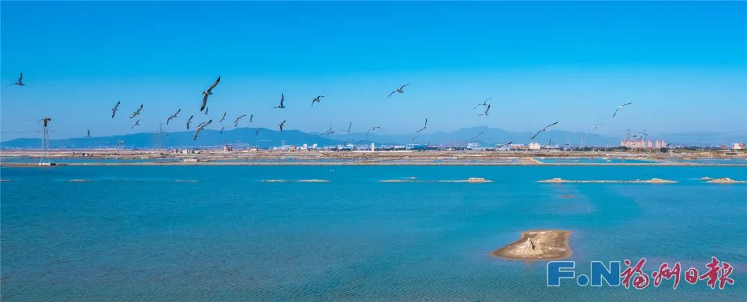 《習近平經濟思想研究》刊發郭寧寧署名文章：堅定不移向海進軍——“海上福州”建設經驗啟示