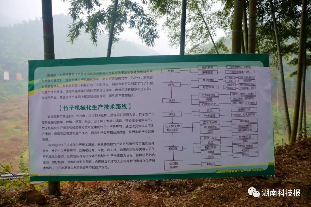 竹林机械化生产技术路线 (2).jpg