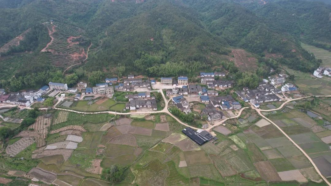 瑞金市武陽鎮黃田粟田村瑞金市瑞林鎮下壩村瑞金市九堡鎮壩溪村瑞金市