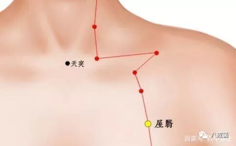 乳腺增生 取膻中穴 屋翳穴 天溪穴 乳根穴 八戒菌 微信公众号文章阅读 Wemp