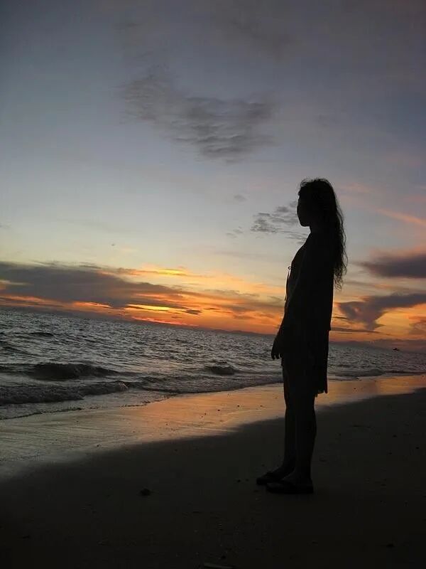 两个爆款超模的所写录故事情节。(图10)