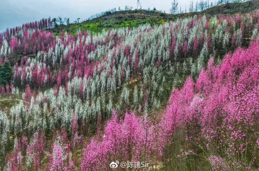 大邑迎來首座空鐵，全成都人都羨慕！ 旅遊 第30張