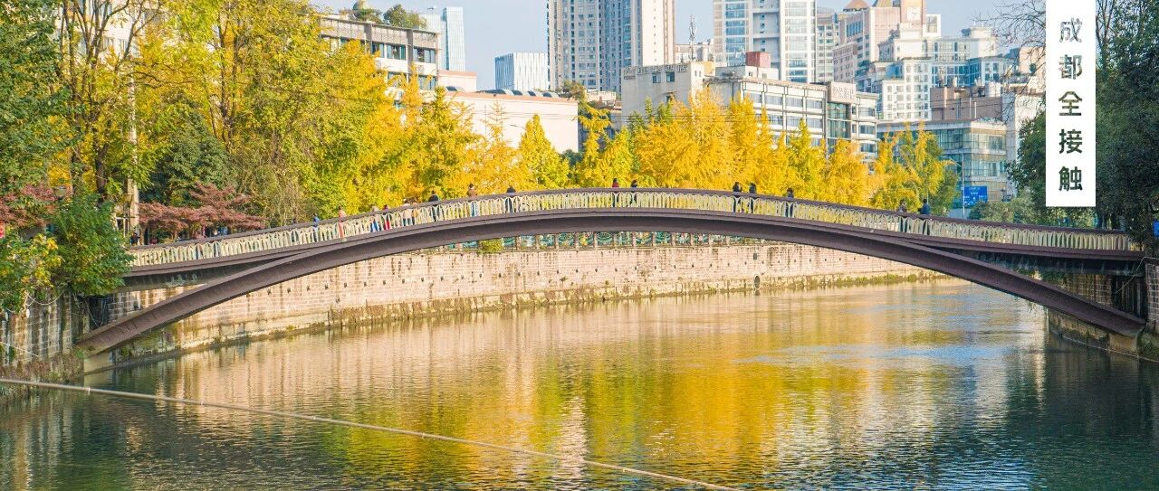 在成都有种浪漫叫：走，去锦里西路，赏银杏！