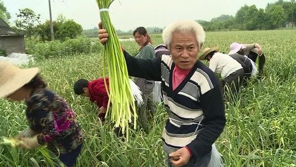 崇州，成都唯一的翡翠之城！ 旅遊 第46張