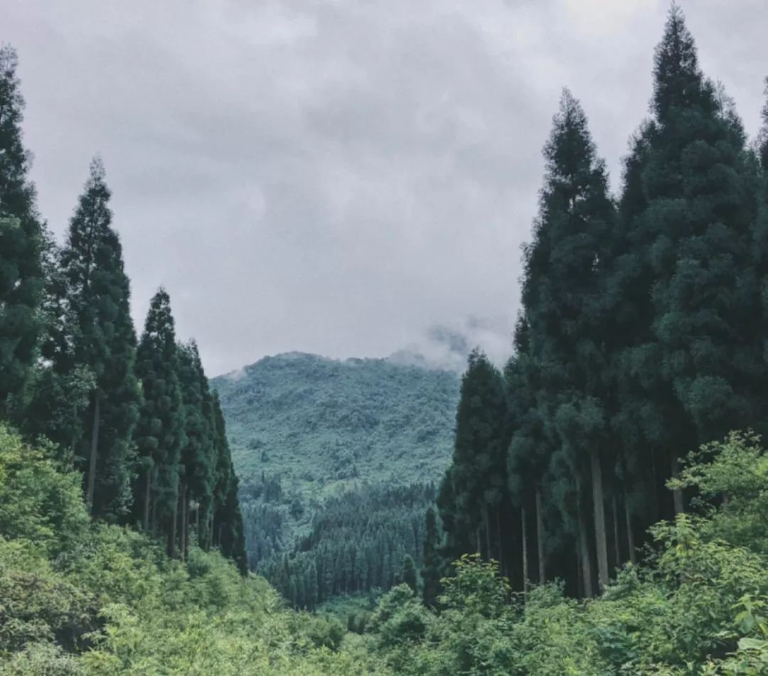 崇州，成都唯一的翡翠之城！ 旅遊 第5張