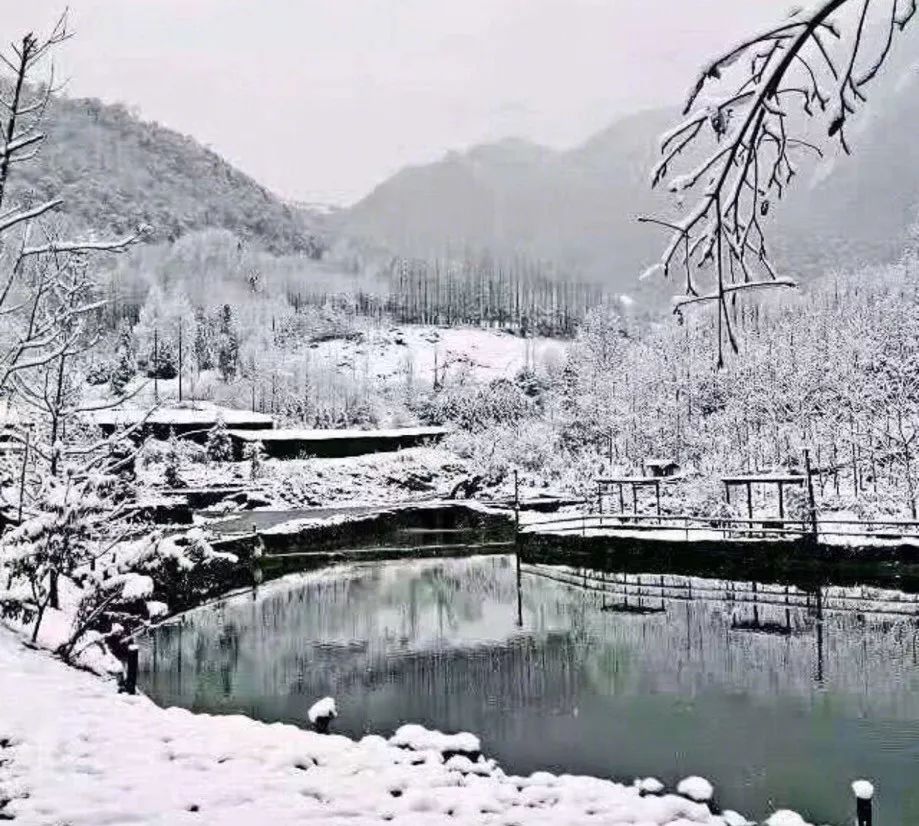 崇州，成都唯一的翡翠之城！ 旅遊 第33張