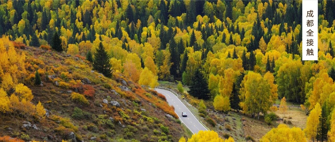 省内省外都有！【国庆长线出游指南】来了，一起去看秋天！