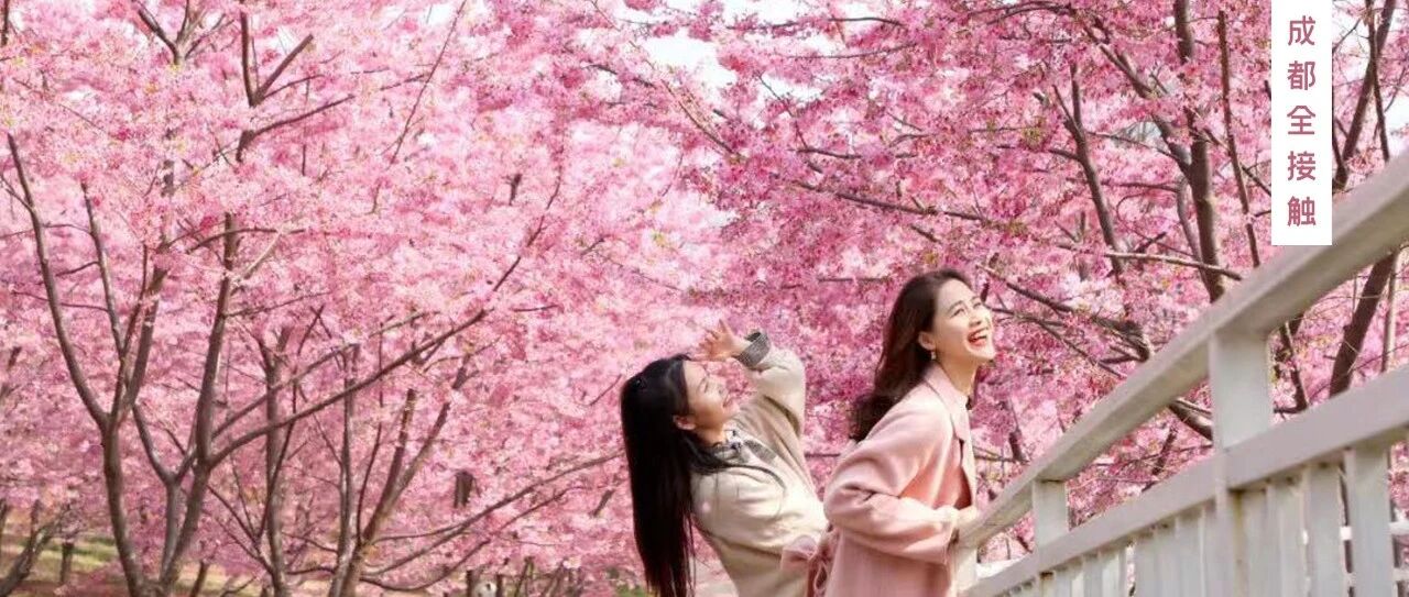 春日赏花指南出炉！全面清零的成都，该去看花了！