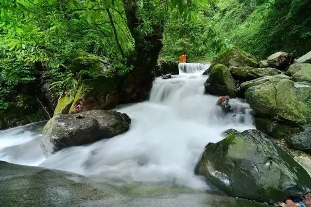 大邑迎來首座空鐵，全成都人都羨慕！ 旅遊 第17張