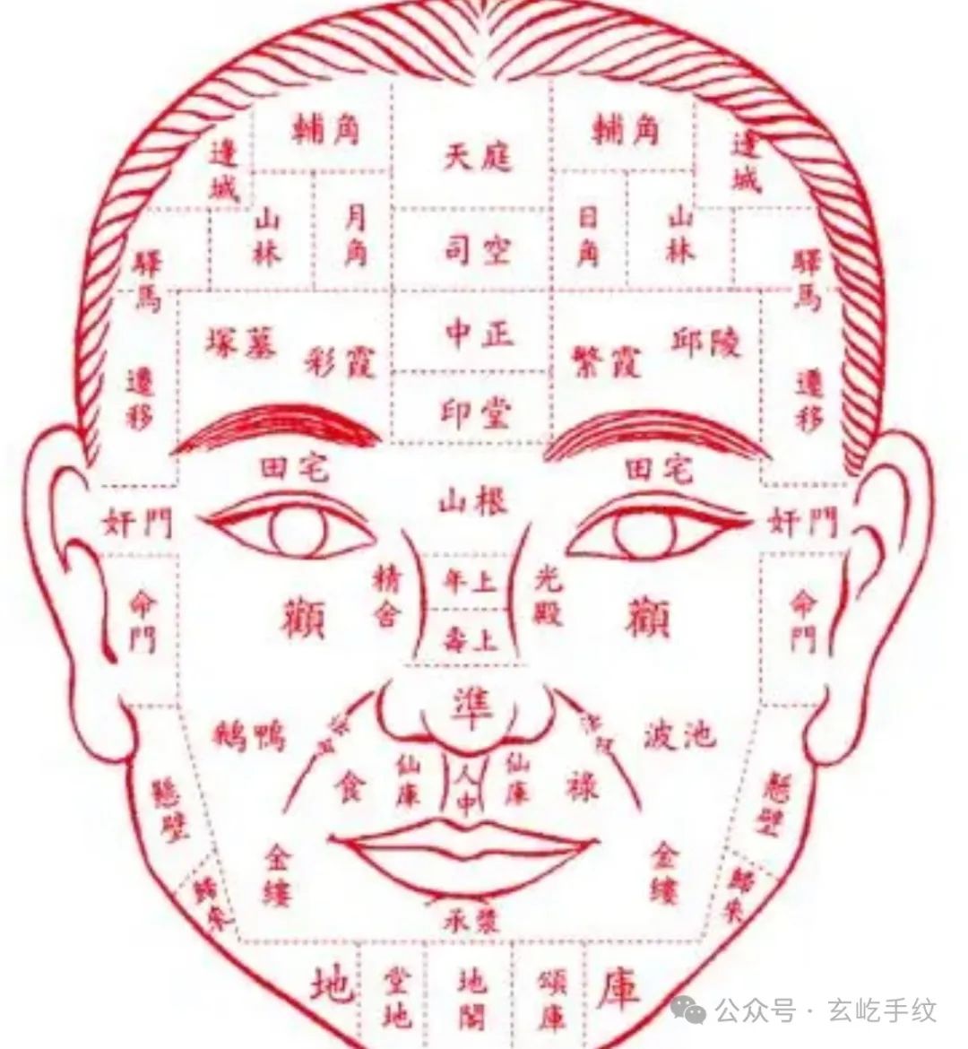 下巴破相之人必有大相_下巴破相了有什么说法_下巴破相的人命运怎么样