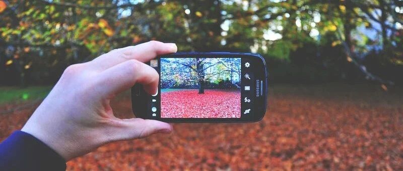 带货攻略成爆品，罗永浩还是那个罗永浩