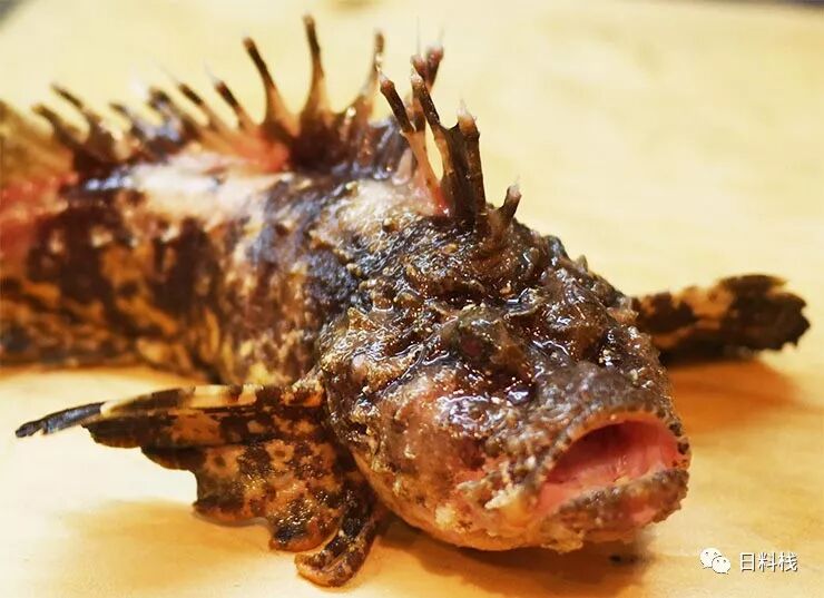 水針魚 記一位腹黑而貌美的體操運動員 丸食堂 微文庫