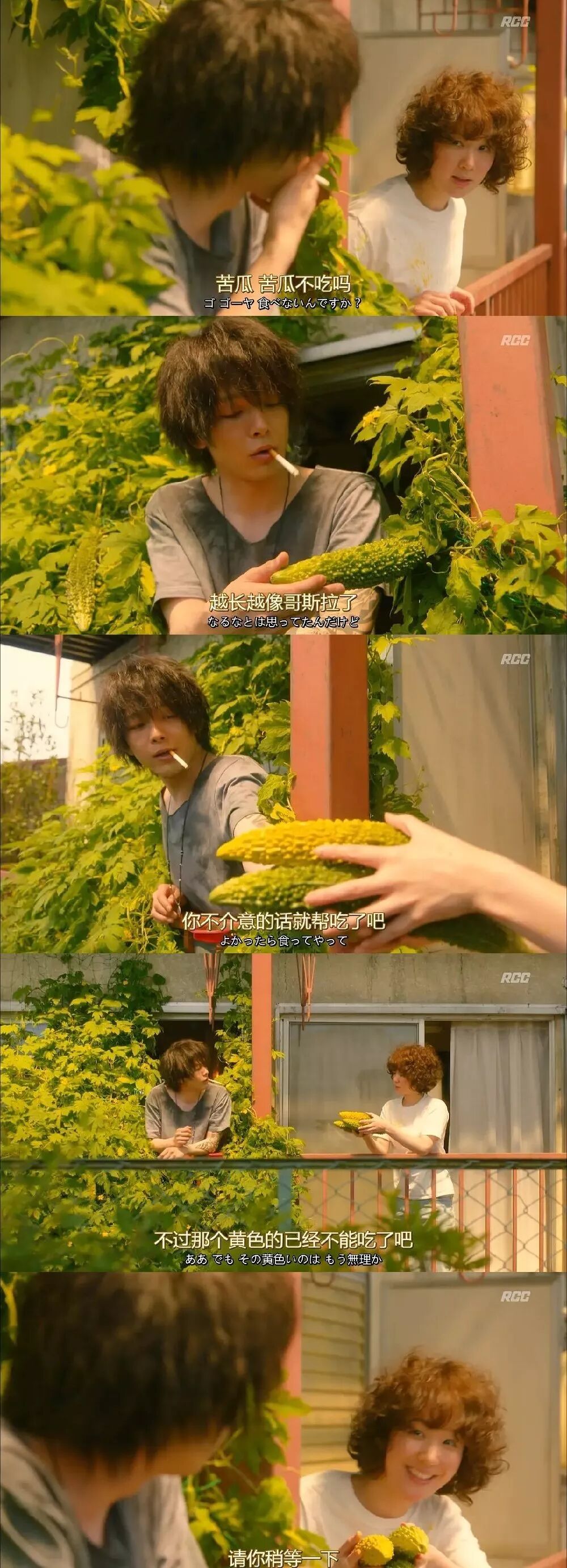 风平浪静的闲暇 中黄色幸运苦瓜是怎么来的 日料栈 微信公众号文章阅读 Wemp