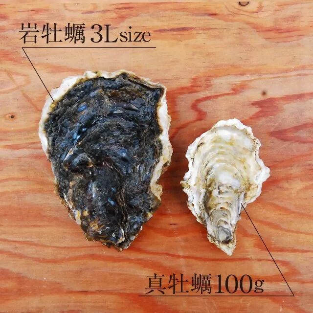 这个生蚝比脸还大 快让我们吃掉它 知味葡萄酒杂志 微信公众号文章阅读 Wemp