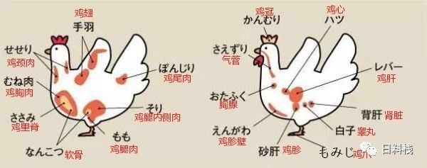 焼鳥 讓我們走進日本的 擼串兒屆 看一看 丸食堂 微文庫