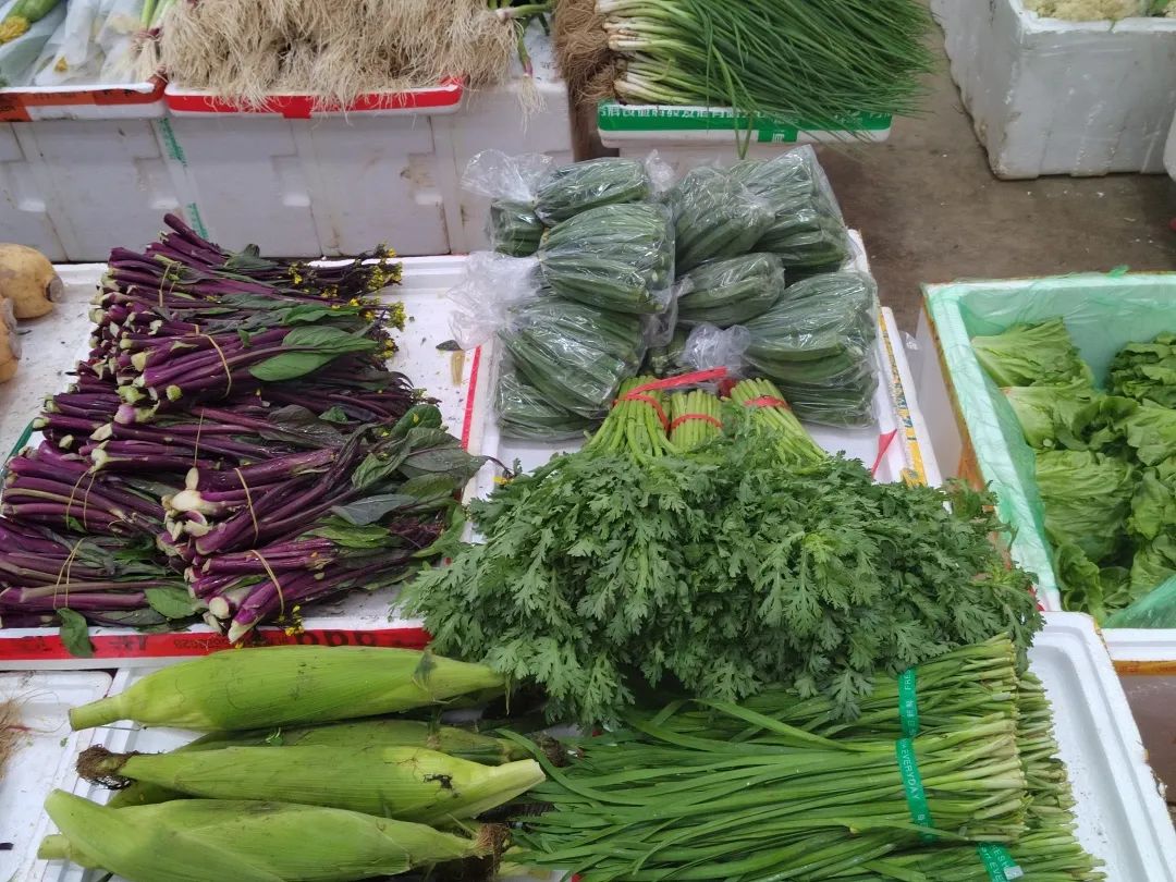 毛豆哪里人_绿毛豆官网_毛豆怎么煮