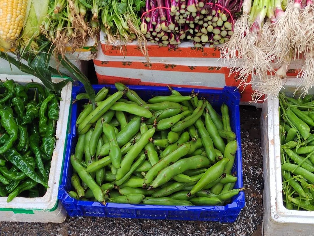 绿毛豆官网_毛豆怎么煮_毛豆哪里人