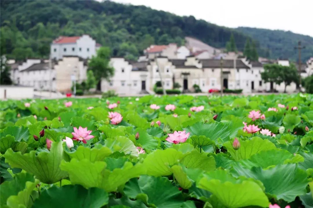 五洩鎮十四都村